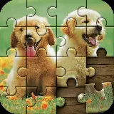 Jigsaw Puzzle