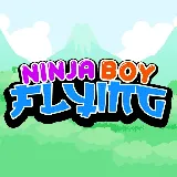 Ninja Boy Flying