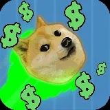 Yolo Dogecoin